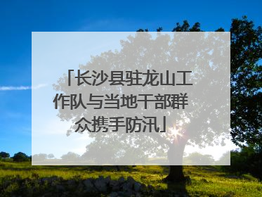 长沙县驻龙山工作队与当地干部群众携手防汛