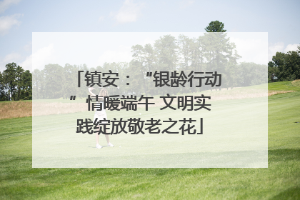 镇安：“银龄行动”情暖端午 文明实践绽放敬老之花