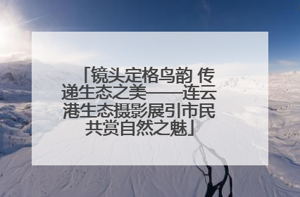 镜头定格鸟韵 传递生态之美——连云港生态摄影展引市民共赏自然之魅