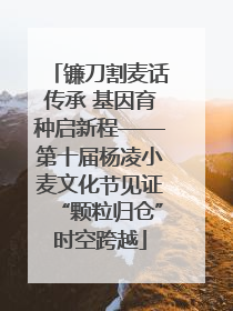 镰刀割麦话传承 基因育种启新程——第十届杨凌小麦文化节见证“颗粒归仓”时空跨越
