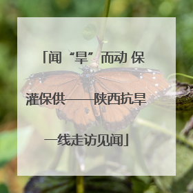 闻“旱”而动 保灌保供——陕西抗旱一线走访见闻