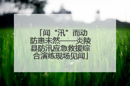 闻“汛”而动 防患未然——炎陵县防汛应急救援综合演练现场见闻