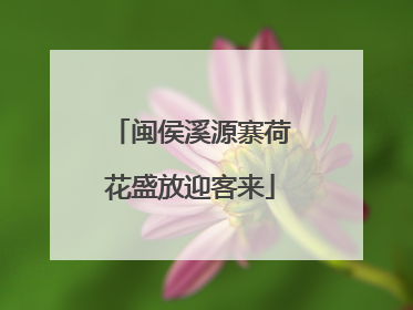 闽侯溪源寨荷花盛放迎客来