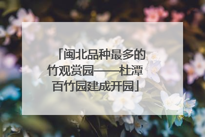 闽北品种最多的竹观赏园——杜潭百竹园建成开园