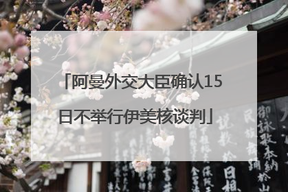阿曼外交大臣确认15日不举行伊美核谈判
