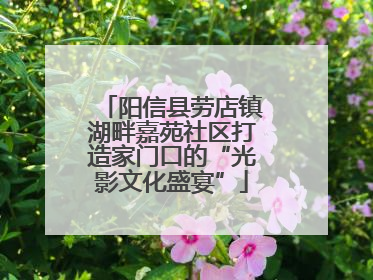 阳信县劳店镇湖畔嘉苑社区打造家门口的“光影文化盛宴”
