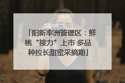 阳新率洲管理区：鲜桃“接力”上市 多品种拉长甜蜜采摘期