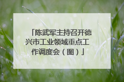 陈武军主持召开德兴市工业领域重点工作调度会（图）
