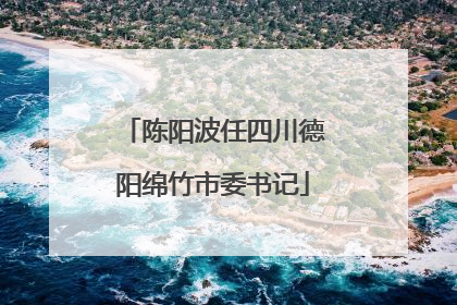 陈阳波任四川德阳绵竹市委书记
