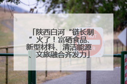陕西白河“链长制”火了！富硒食品、新型材料、清洁能源、文旅融合齐发力