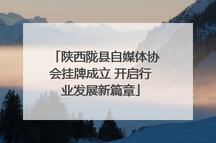 陕西陇县自媒体协会挂牌成立 开启行业发展新篇章