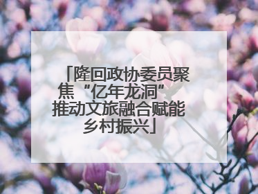 隆回政协委员聚焦“亿年龙洞” 推动文旅融合赋能乡村振兴