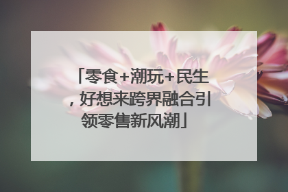 零食+潮玩+民生，好想来跨界融合引领零售新风潮