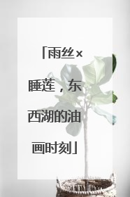雨丝×睡莲，东西湖的油画时刻