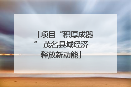 项目“积厚成器” 茂名县域经济释放新动能