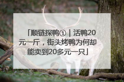 顺链探鸭①｜活鸭20元一斤，街头烤鸭为何却能卖到20多元一只