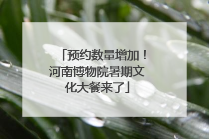 预约数量增加！河南博物院暑期文化大餐来了