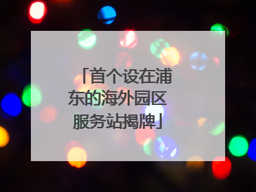 首个设在浦东的海外园区服务站揭牌