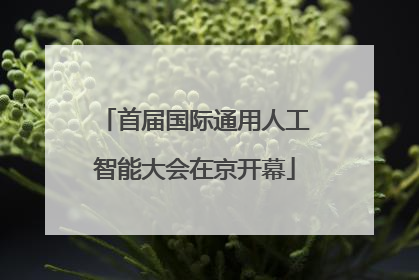 首届国际通用人工智能大会在京开幕
