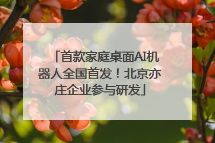 首款家庭桌面AI机器人全国首发！北京亦庄企业参与研发