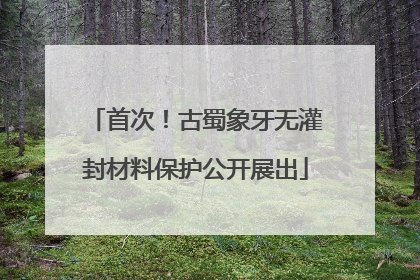 首次！古蜀象牙无灌封材料保护公开展出