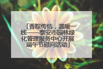 香粽传情，温暖一线——泰安市园林绿化管理服务中心开展端午节慰问活动