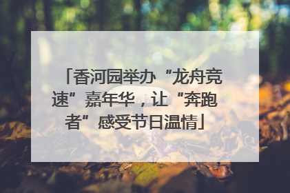 香河园举办“龙舟竞速”嘉年华，让“奔跑者”感受节日温情