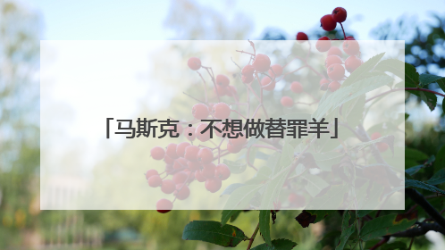 马斯克：不想做替罪羊