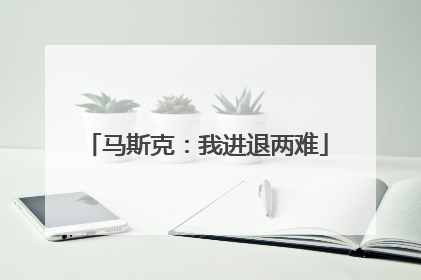 马斯克：我进退两难