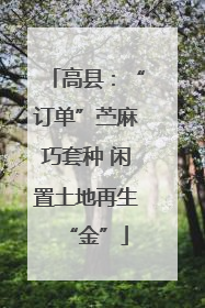 高县：“订单”苎麻巧套种 闲置土地再生“金”