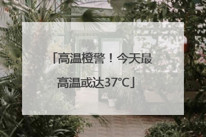 高温橙警！今天最高温或达37℃