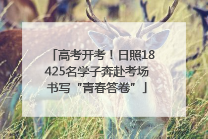 高考开考！日照18425名学子奔赴考场书写“青春答卷”
