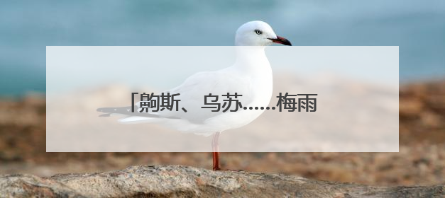 齁斯、乌苏……梅雨天要来了么？除湿机赶紧安排上｜申评测