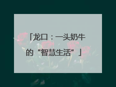 龙口：一头奶牛的“智慧生活”