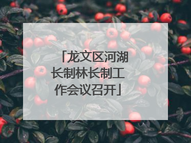 龙文区河湖长制林长制工作会议召开