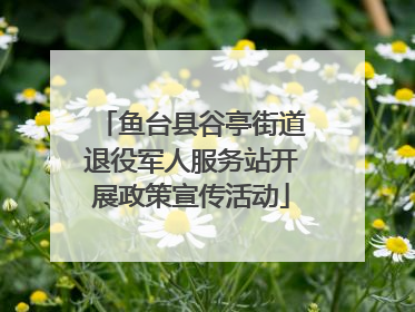 鱼台县谷亭街道退役军人服务站开展政策宣传活动