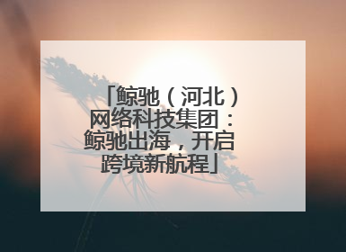 鲸驰（河北）网络科技集团：鲸驰出海，开启跨境新航程