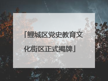 鲤城区党史教育文化街区正式揭牌