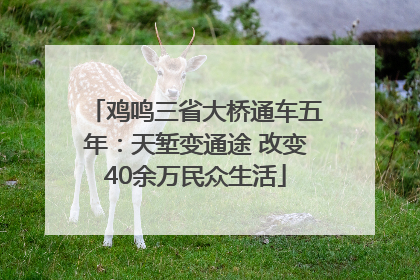 鸡鸣三省大桥通车五年：天堑变通途 改变40余万民众生活