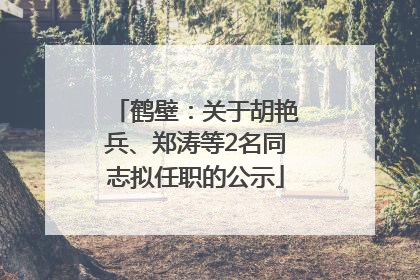 鹤壁：关于胡艳兵、郑涛等2名同志拟任职的公示
