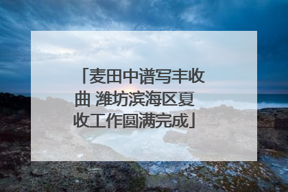 麦田中谱写丰收曲 潍坊滨海区夏收工作圆满完成