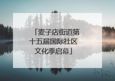 麦子店街道第十五届国际社区文化季启幕