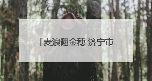 麦浪翻金穗 济宁市任城区32.28万亩小麦陆续开镰收割