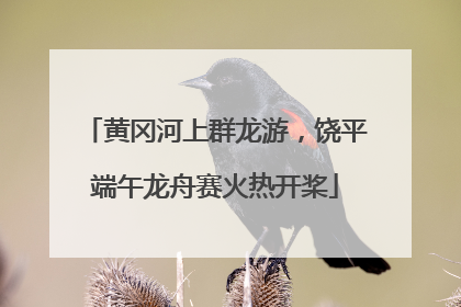 黄冈河上群龙游，饶平端午龙舟赛火热开桨