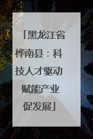 黑龙江省桦南县：科技人才驱动 赋能产业促发展