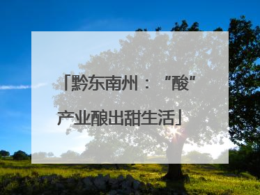 黔东南州：“酸”产业酿出甜生活
