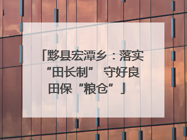 黟县宏潭乡：落实“田长制” 守好良田保“粮仓”