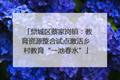 鼎城区蔡家岗镇：教育资源整合试点激活乡村教育“一池春水”