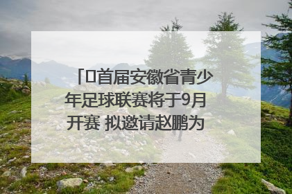 ﻿首届安徽省青少年足球联赛将于9月开赛 拟邀请赵鹏为先导赛开球