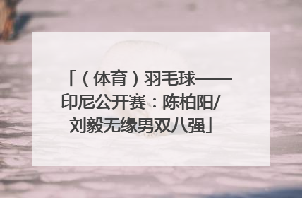 （体育）羽毛球——印尼公开赛：陈柏阳/刘毅无缘男双八强